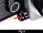 Fig3.jpg